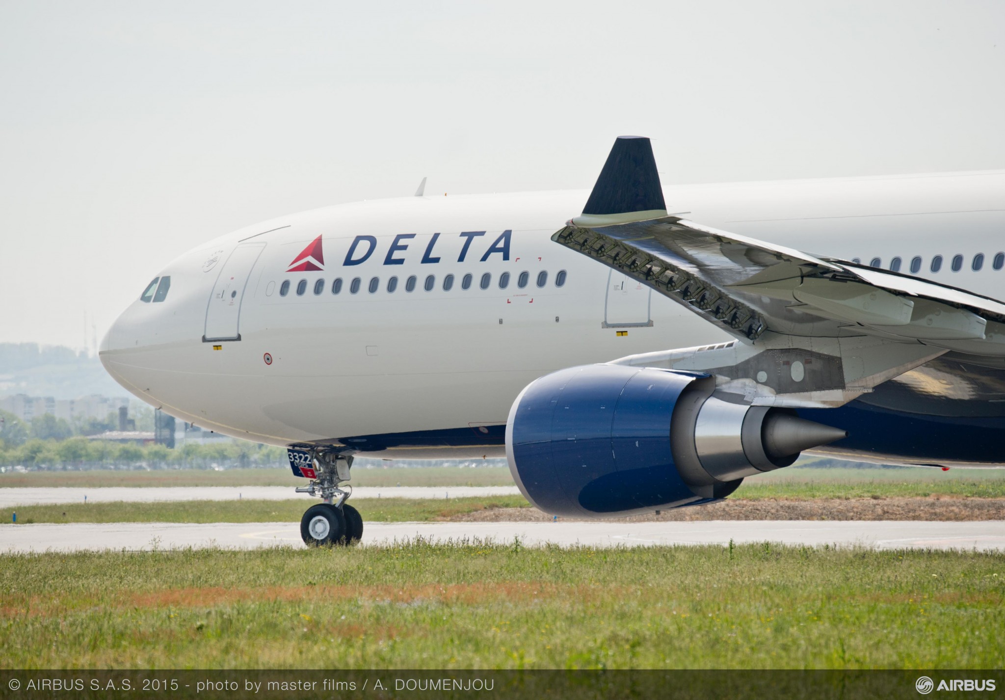 Delta Airlines flight hit by bird