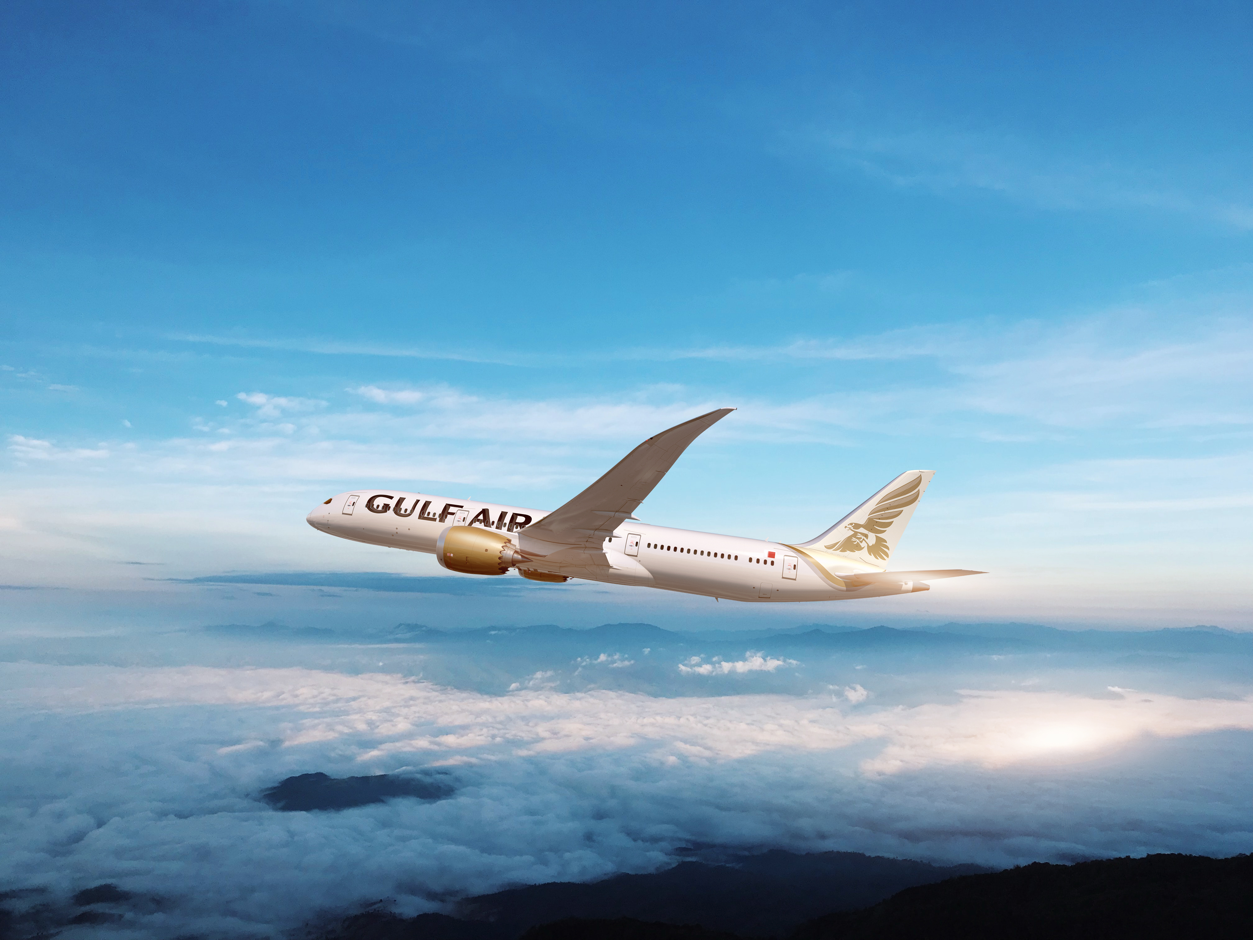 Gulf Air to launch daily service to Singapore