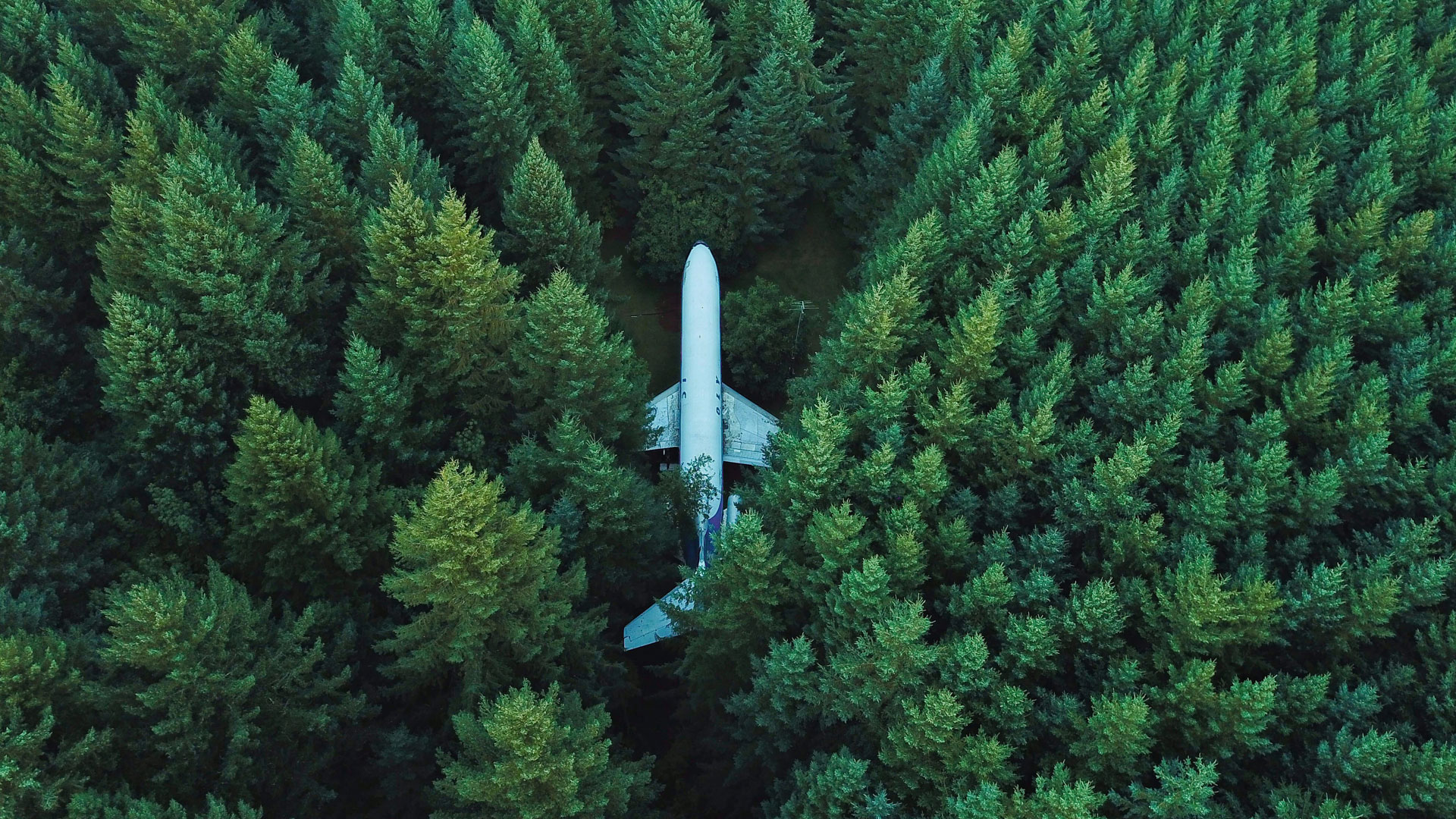 WEF launches the Sustainable Aviation Challenge