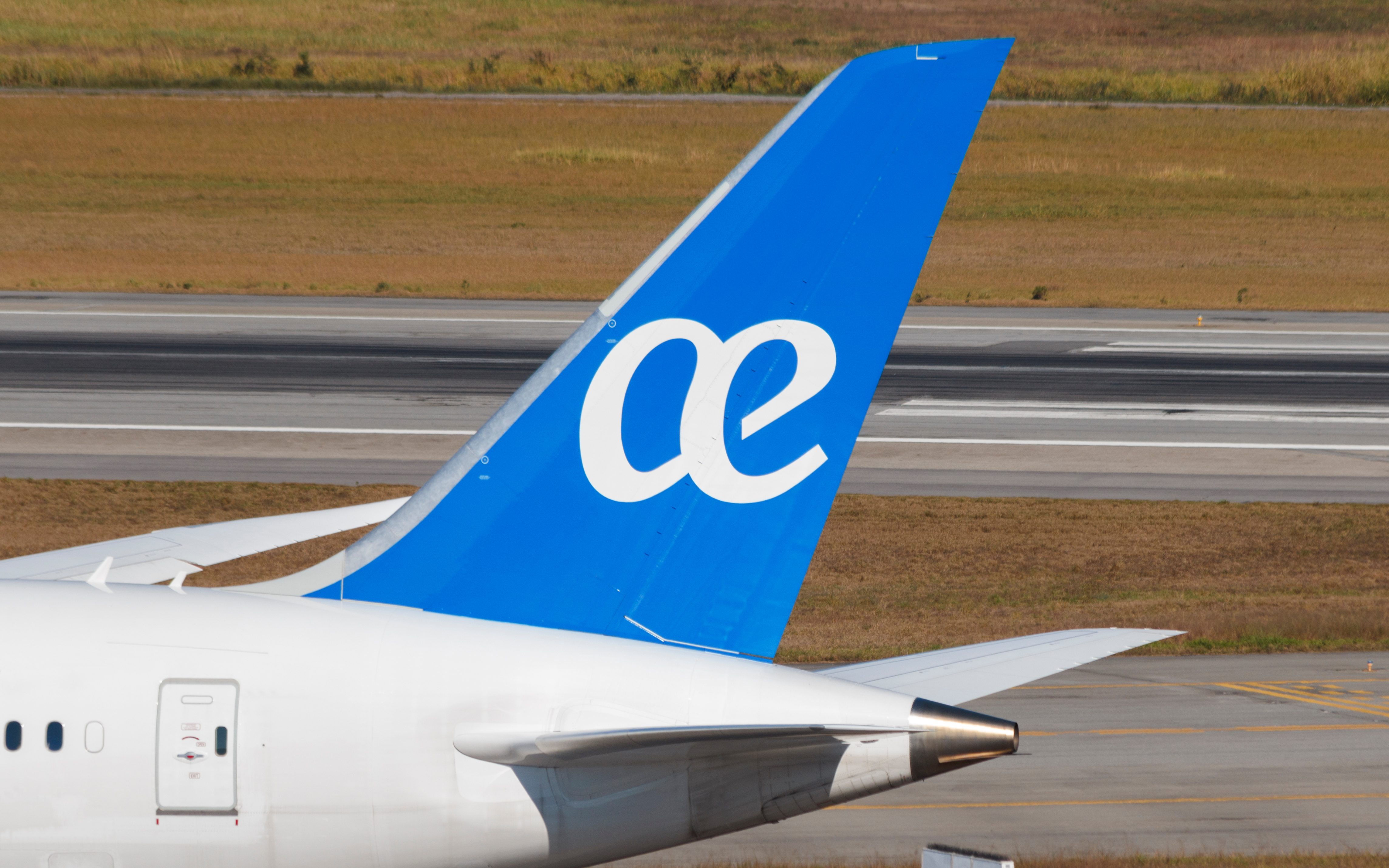 Air Europa fleet adds second 737 MAX