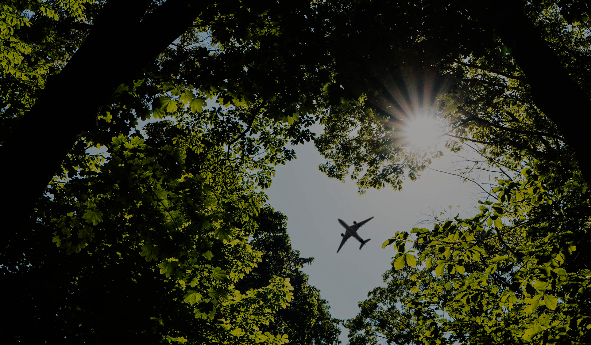 Tata Projects selected as EPC partner for SAF One's sustainable fuel project