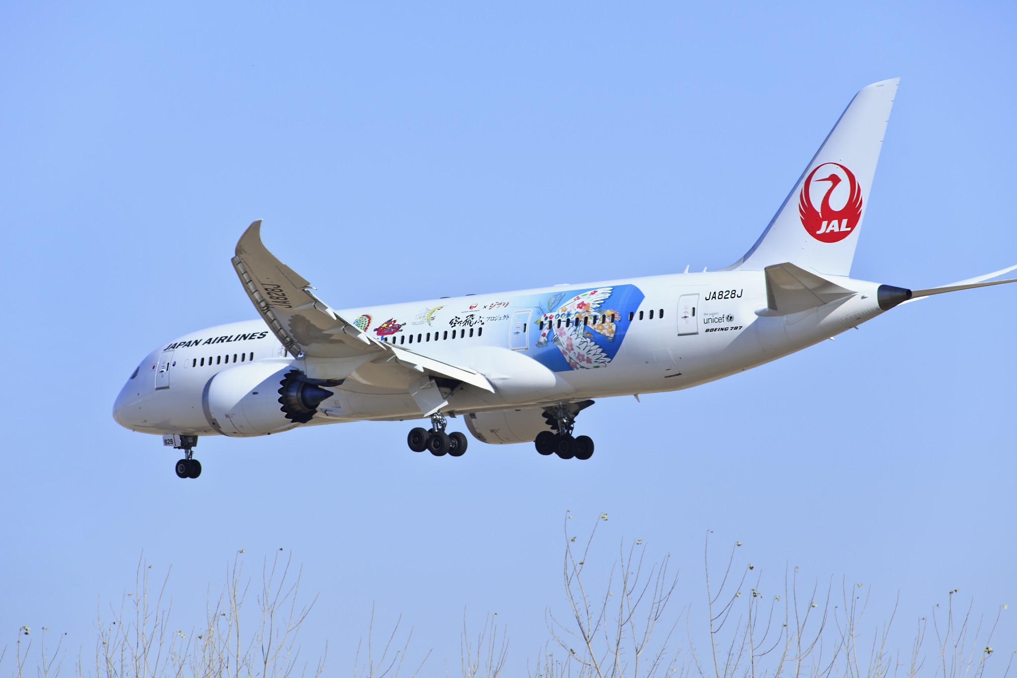 Turbulence injures four flight attendants during Japan Airlines 787-8 flight