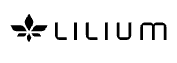 Collins Aerospace working on "innovative" sidestick for Lilium's eVTOL jet