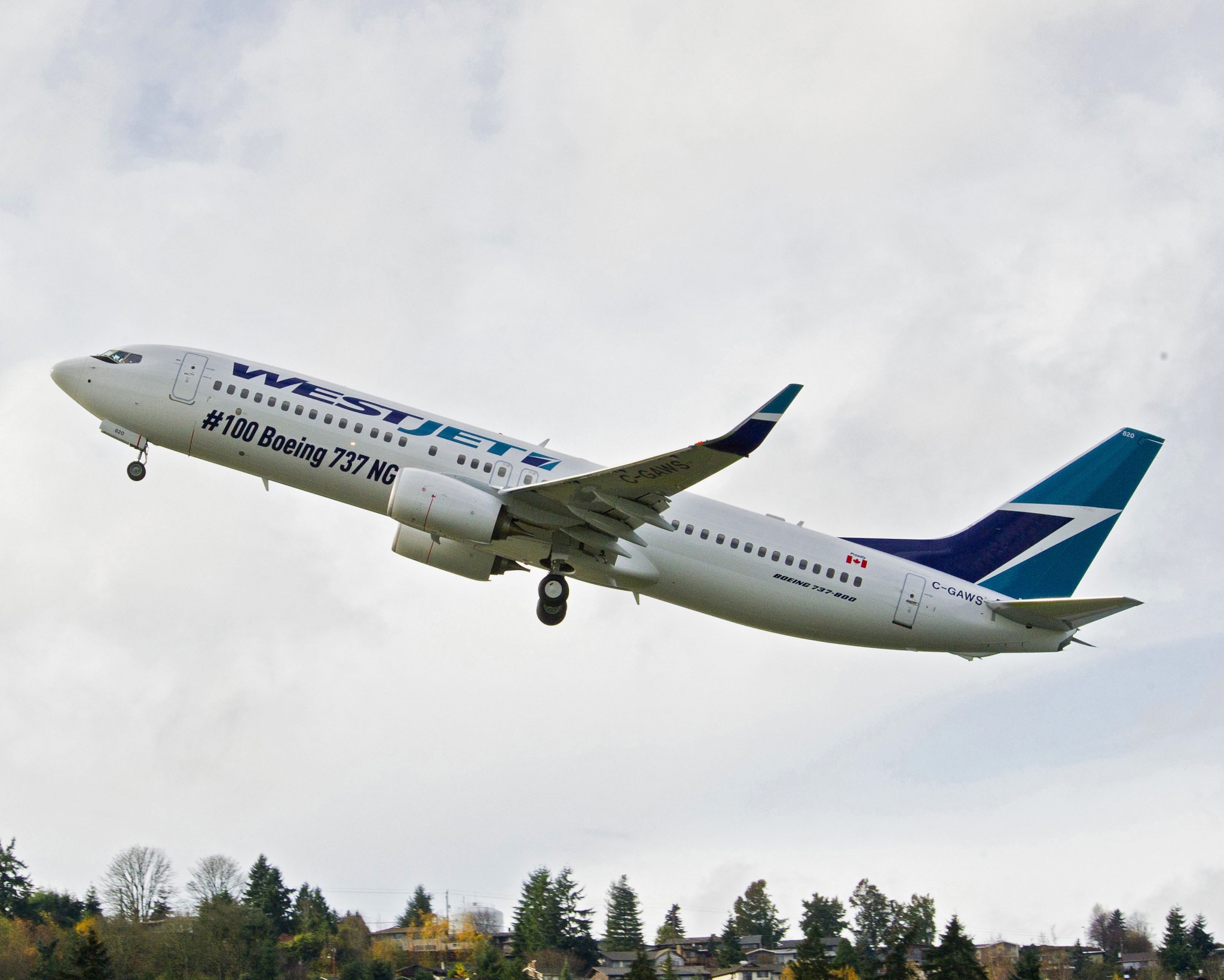 WestJet appoints president