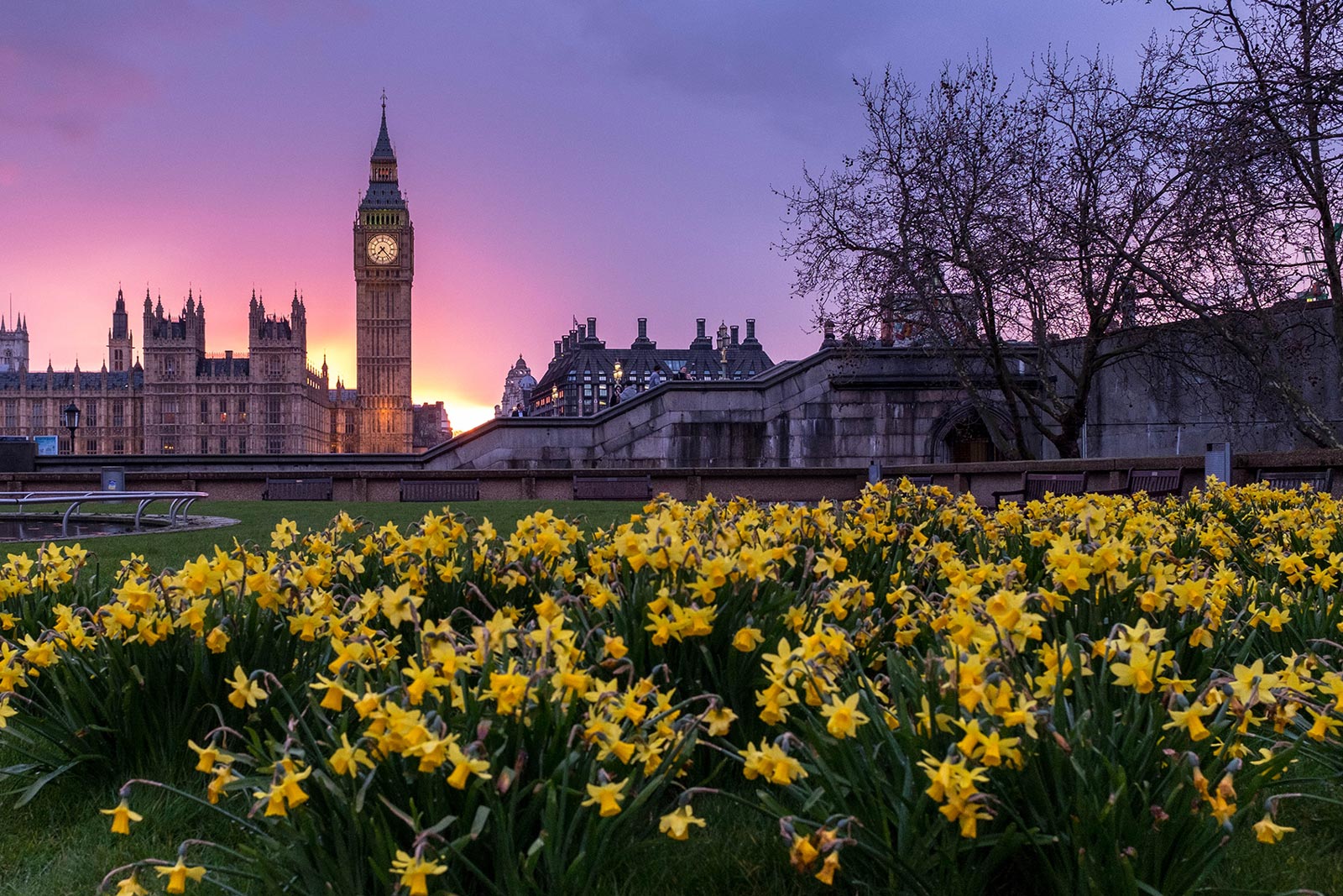 Airline shares react to UK ‘green list’