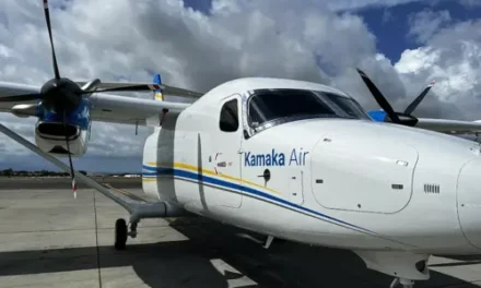 Kamaka Air appoints new CEO and COO